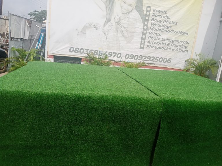 SETUP STAGE FOR EVENT, CONCERT, PROGRAM AND CONFERENCE
