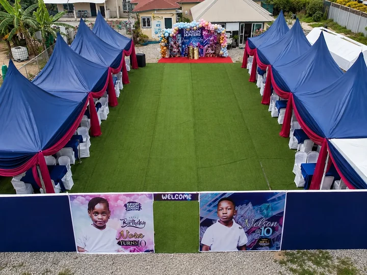 Canopies & outdoor setups — Ziva Rentals portfolio photograph 024